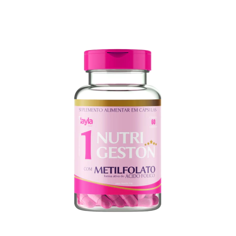 Nutrigeston 1: GESTANTE 1° Trimestre
